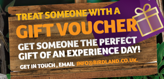 Birdland Tickets, Products, Membership Plans, Gift Vouchers - Buy Online