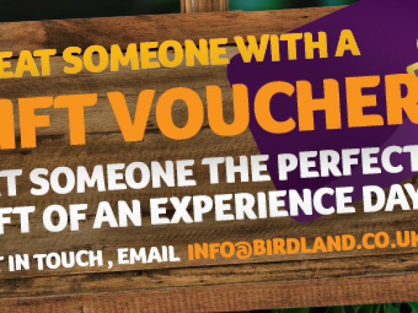 Gift Vouchers