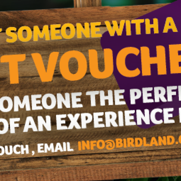 Gift Vouchers