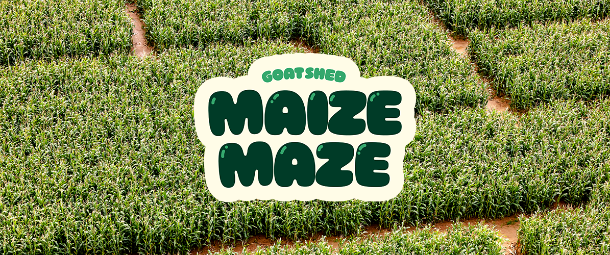 Maize Maze