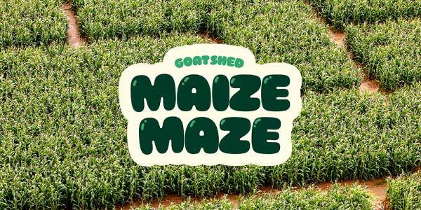 Maize Maze