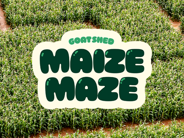 Maize Maze