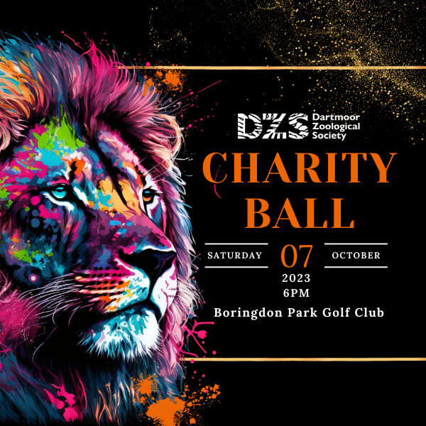 Dartmoor Zoo Tickets, Bundles Buy Online