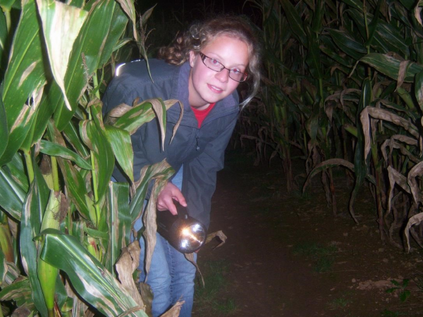 Torchlight Night - 5th September 2026