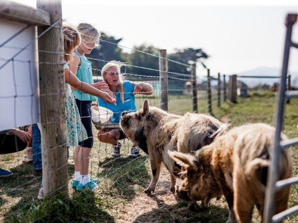 Farm Park