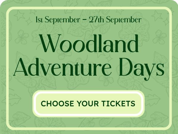 Woodland Adventure Days