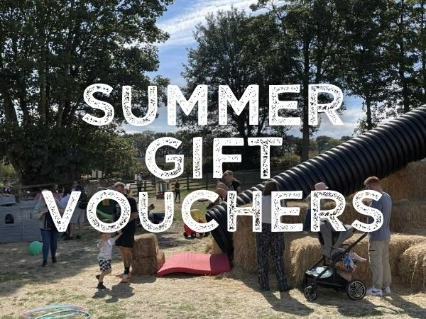 Summer Gift Vouchers
