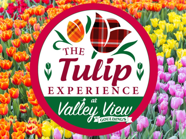 The Tulip Experience - Spring 2027