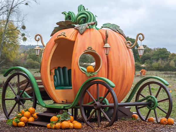 Wasing Pick Your Own Pumpkin 2025