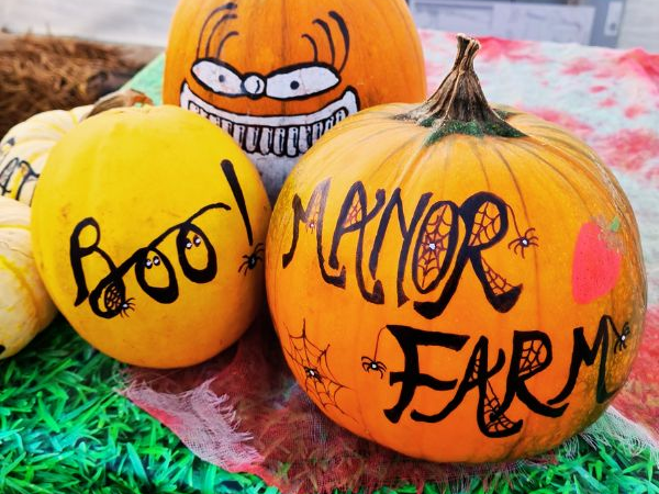 Pumpkin Fest by Day 2023