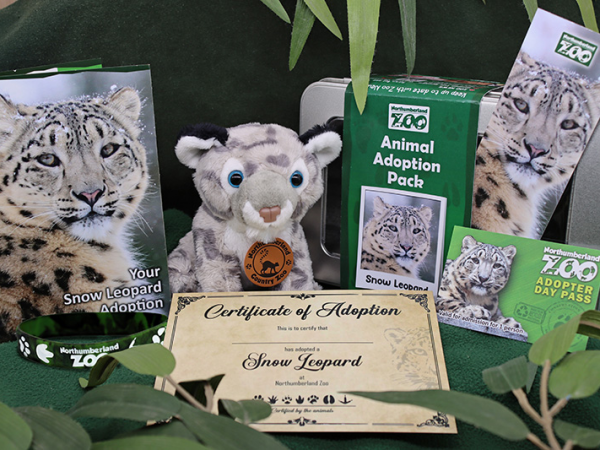 Adopt an Animal (Online)