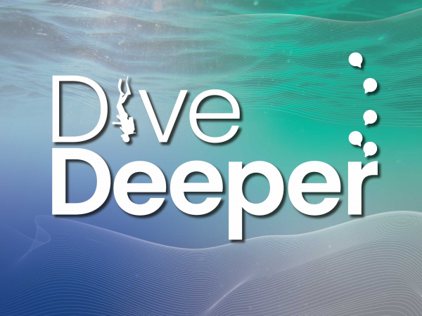 Dive Deeper: Into the World of Sharks