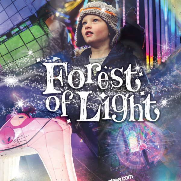 Forest of Light 2025
