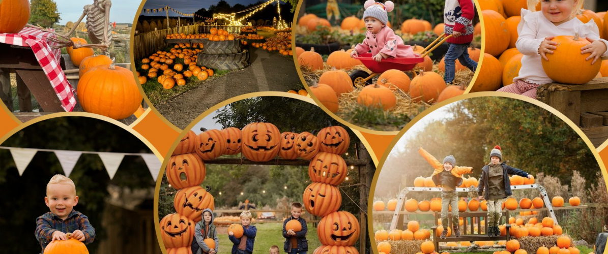 AUTUMN ADVENTURES !