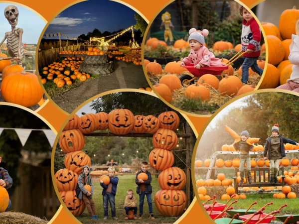 Autumnul pictures with pumpkins, bonfires and ghosts
