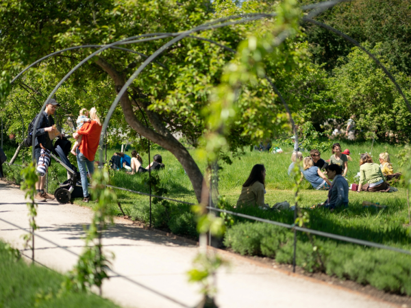 Summer evenings in the walled garden