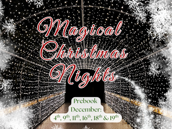 Magical Christmas Nights at Woodlands (Grotto Only, PARK CLOSED)