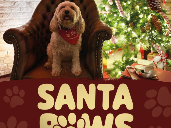 Santa Paws Experience