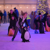 Ice Rink