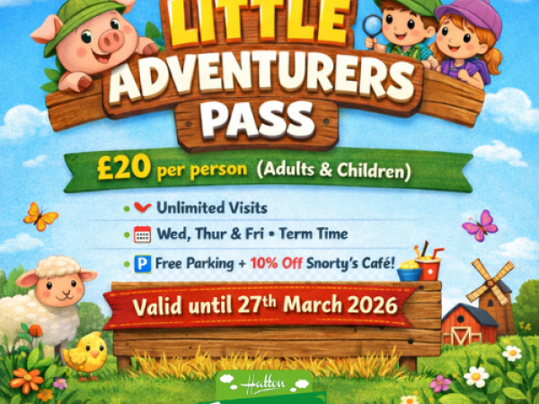 Weekday Adventure Pass (Jan 12th - Mar 27th 2026)