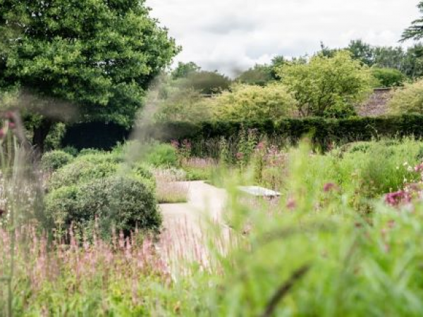 Shrub Pruning Workshop