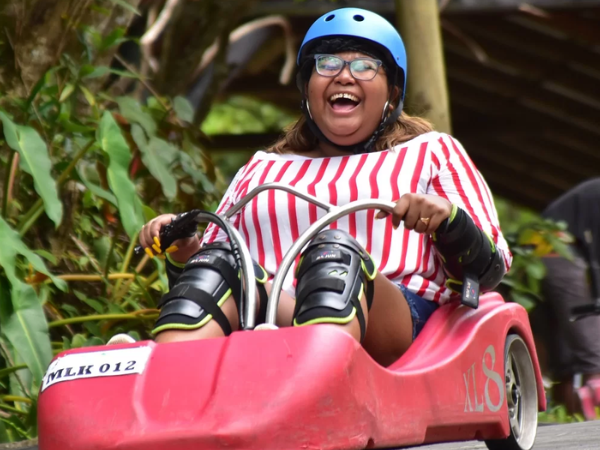 Luge Cart