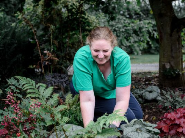 Reset Your Garden for Autumn