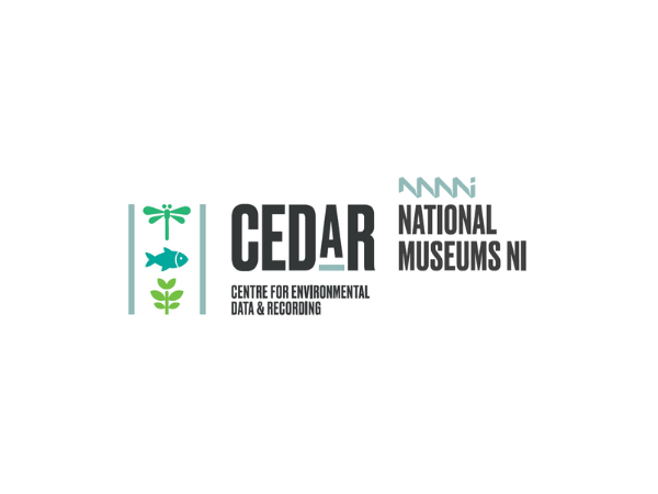 CEDaR Events