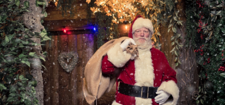 Santa's Enchanted Forest at Old Barn Garden Centre, Dial Post