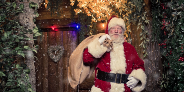 Santa's Enchanted Forest at Old Barn Garden Centre, Dial Post