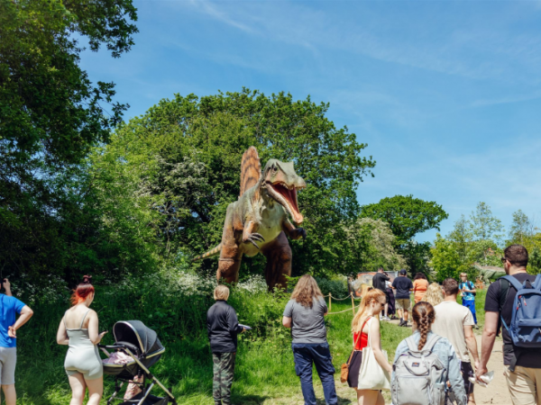 Dinosaurs in the Park