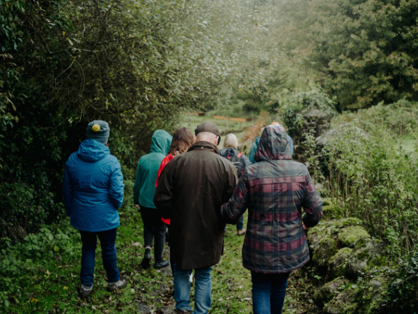 Native Tree Walk
