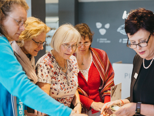 Pearl Discovery Tour