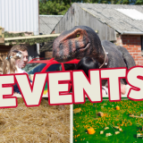 Events at Rand Farm Park