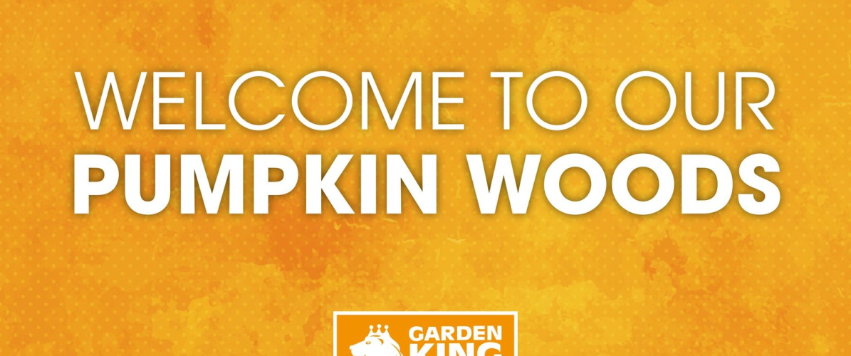 Pumpkin Woods