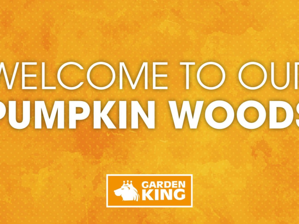 Pumpkin Woods