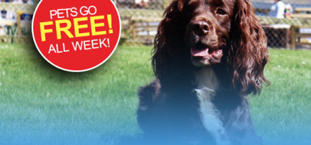 National Pet Week - Pets go FREE!