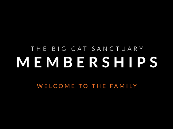 Memberships