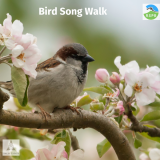 RSPB Bird Song Walk