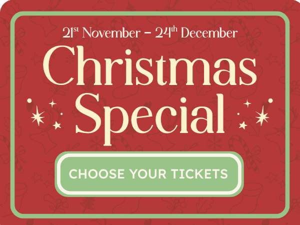 Christmas Special Ticket