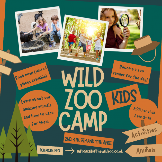 Buy Wild Zoo Camp Tickets online Call Of The Wild Zoo