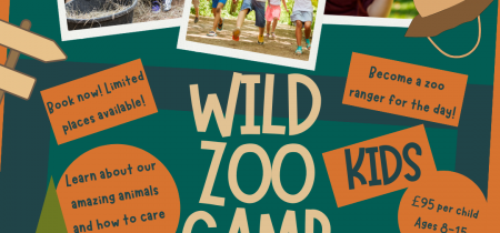 Wild Zoo Camp
