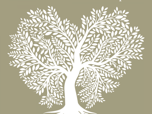 Summer Solstice Mindfulness Retreat and Workshop