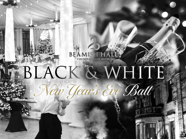 New Years Eve 2025!