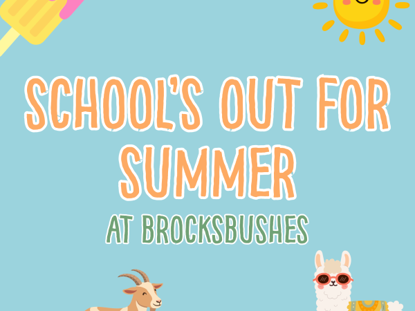 Summer Holidays at Brocksbushes