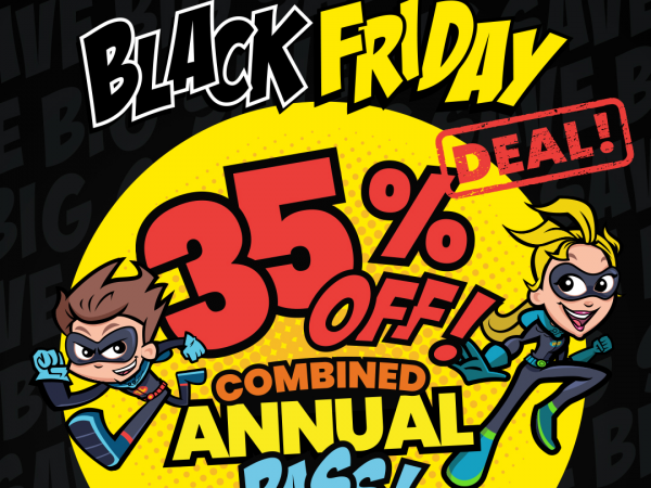 Black Friday 2025 - Combined Annual Pass