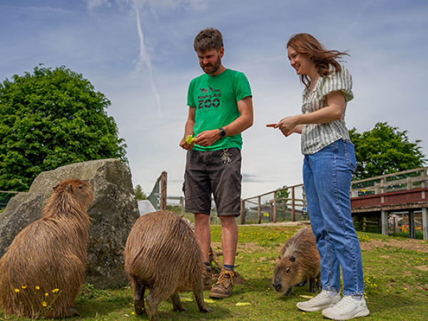 Mini Encounters - Special Events