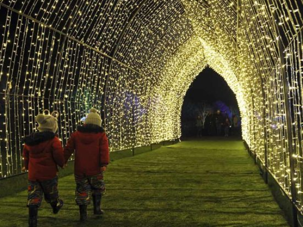 Lights of Lowther