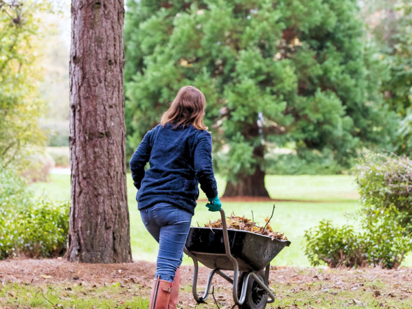 Community Volunteering Tasks