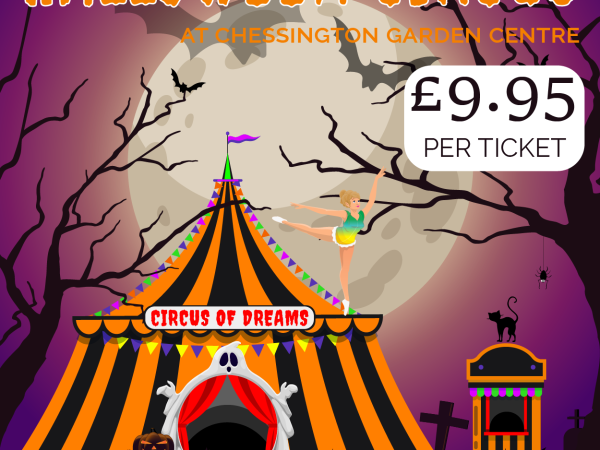 Halloween Circus picture featuring 3 circus acts